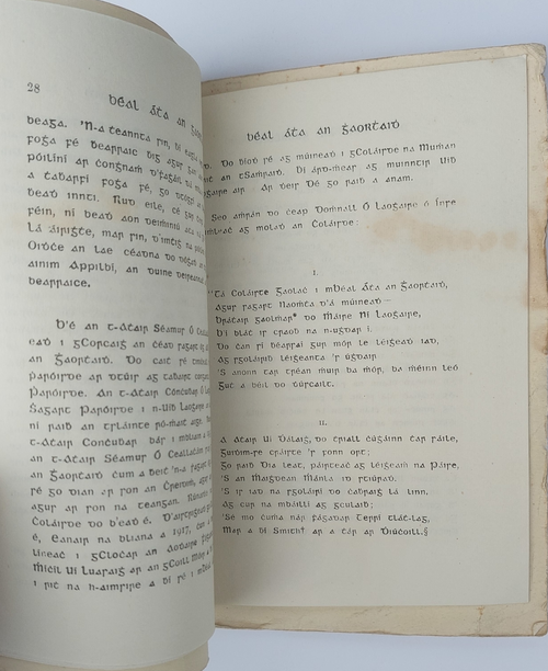 Béal Átha an Ghaorthaidh le Donnchadh Ó Donnchadha